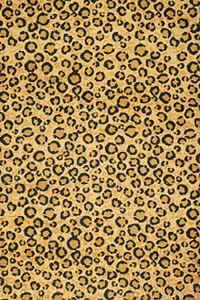 leopardskin.jpg (87143 bytes)