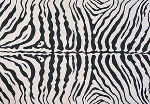 Zebra Print Area Rugs Wcrw Com, Zebra Area Rug